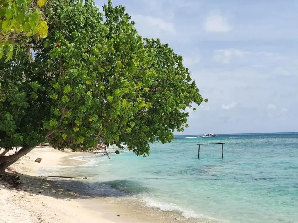 Beach & Waterfront