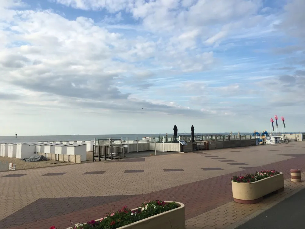 Lotus House Luxury Rental - фото 20