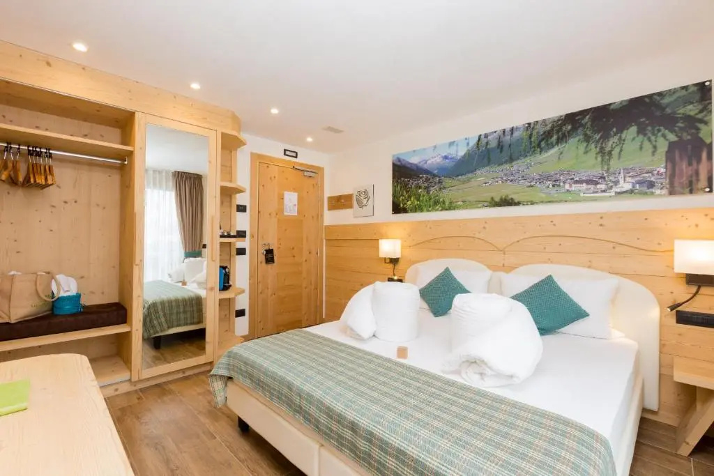 Standard Double room with mountain view (full double bed)