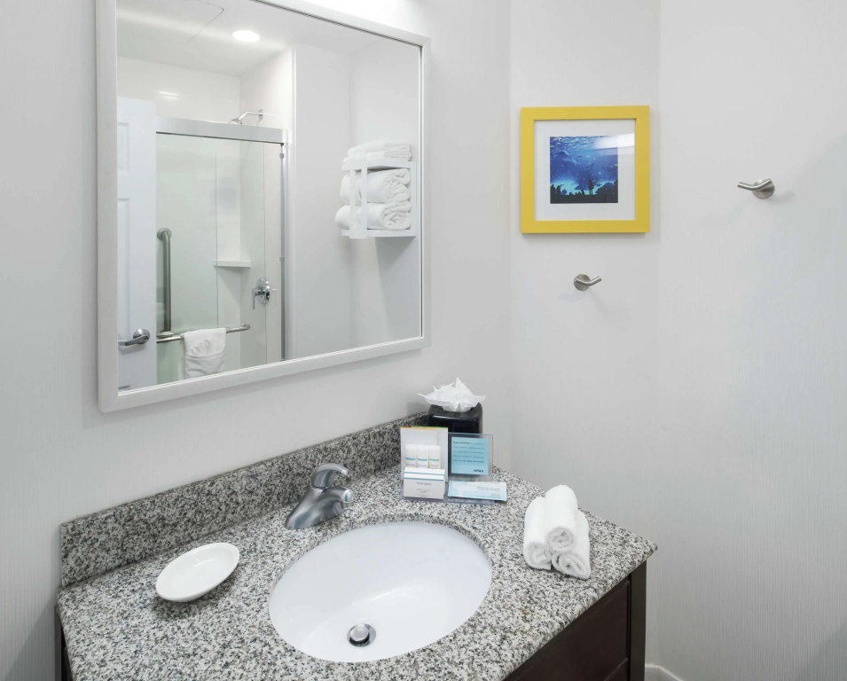 Hampton Inn & Suites Atlanta-Downtown - Général