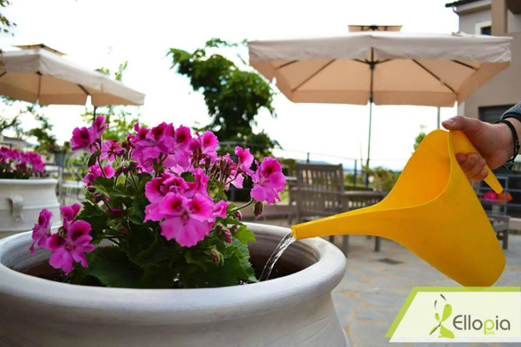 Ellopia Point Hotel - фото 17