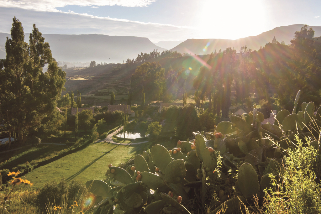 Las Casitas, A Belmond Hotel, Colca Canyon - фото 21