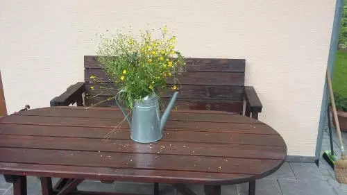 Balcony & Terrace