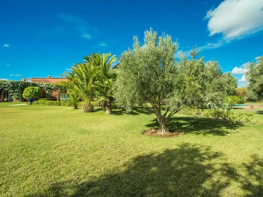 Villa les Oliviers 2 Bedrooms - A Setting of Tranquility - фото 43