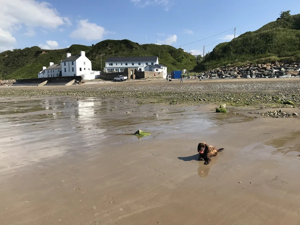 Beach & Waterfront
