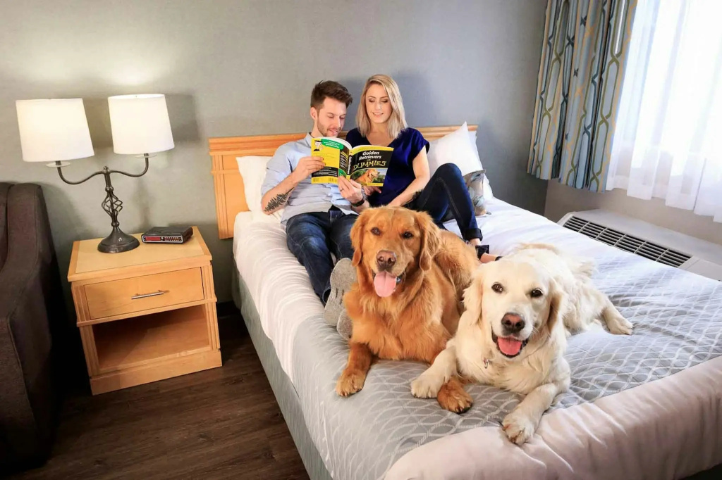 Accent Inns Kamloops - Général