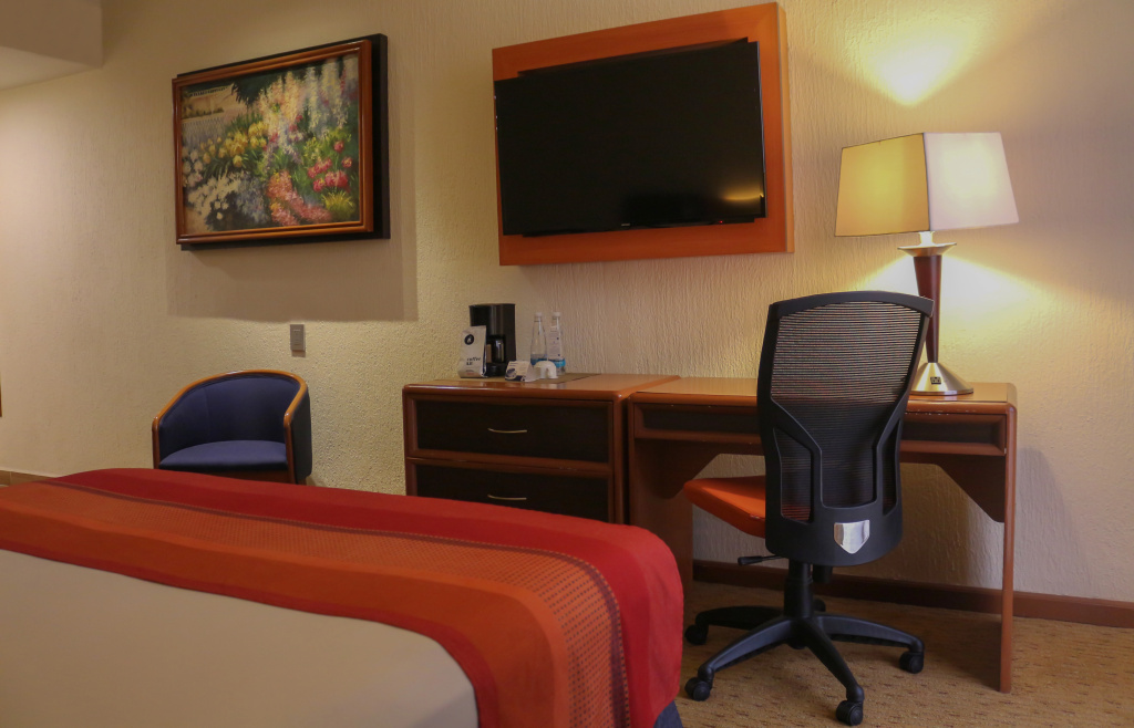 Guadalajara Plaza Expo Business Class - Général