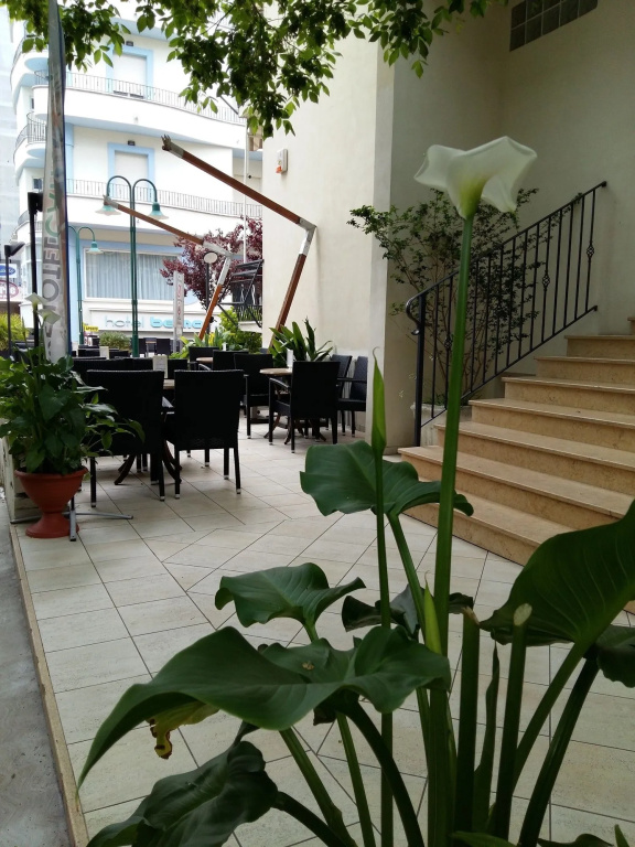 Hotel photo 24