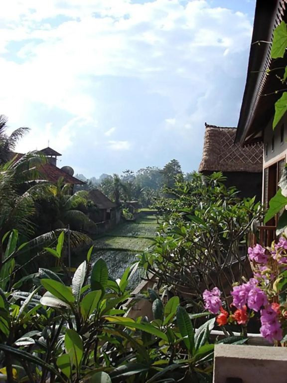 Hotel photo 33