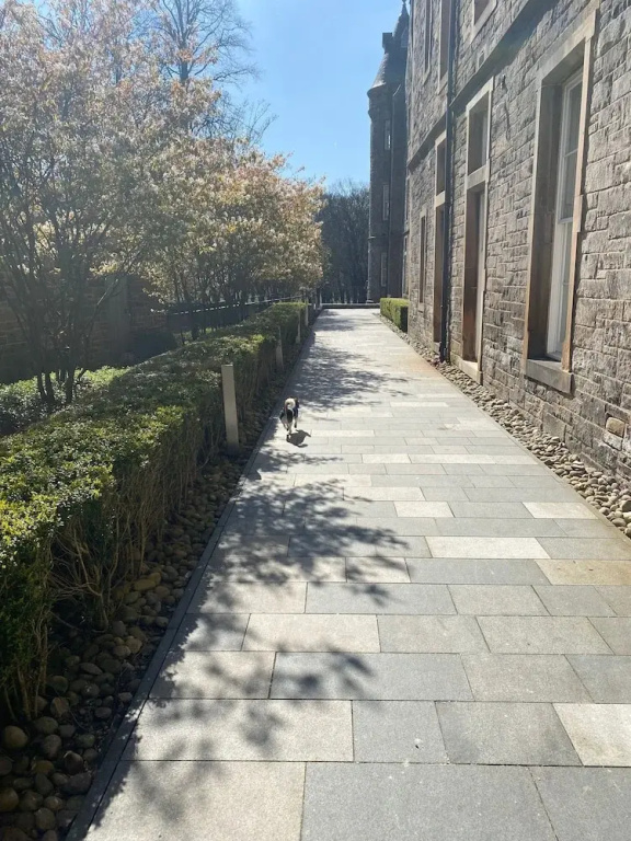 Executive Level Quartermile two Bedroom Apartment - Extremely Central