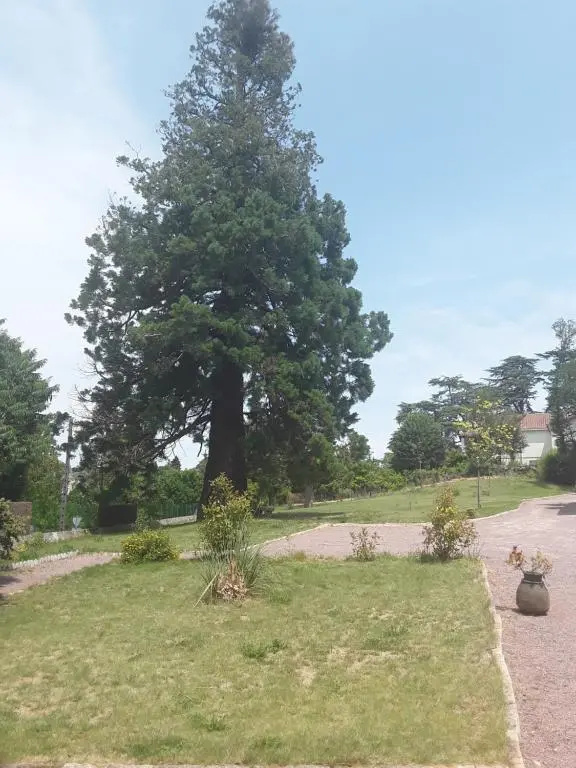 Manoir Le Sequoia