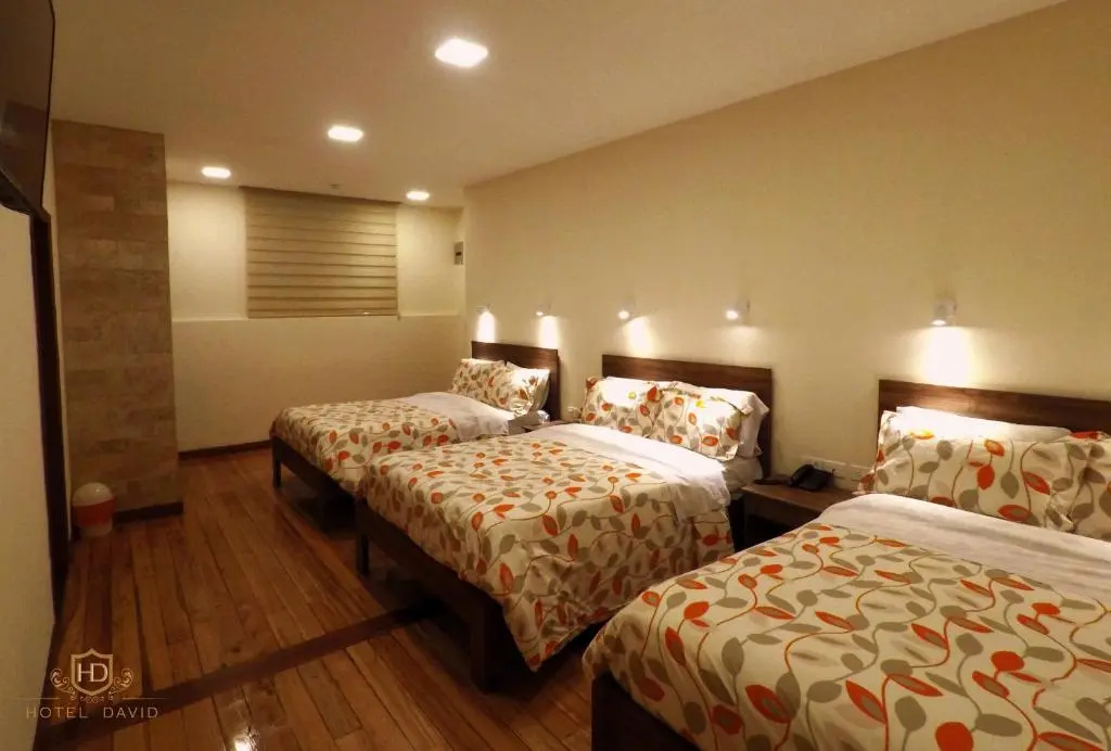 Hotel David - Chambres
