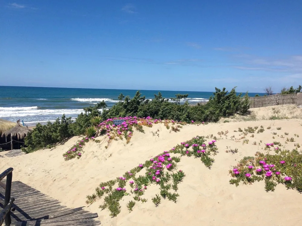 Beach & Waterfront