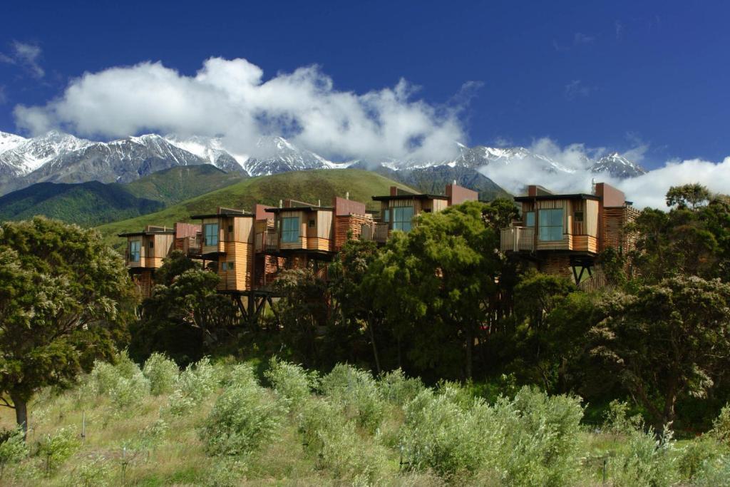 Hapuku Lodge + Tree Houses by null