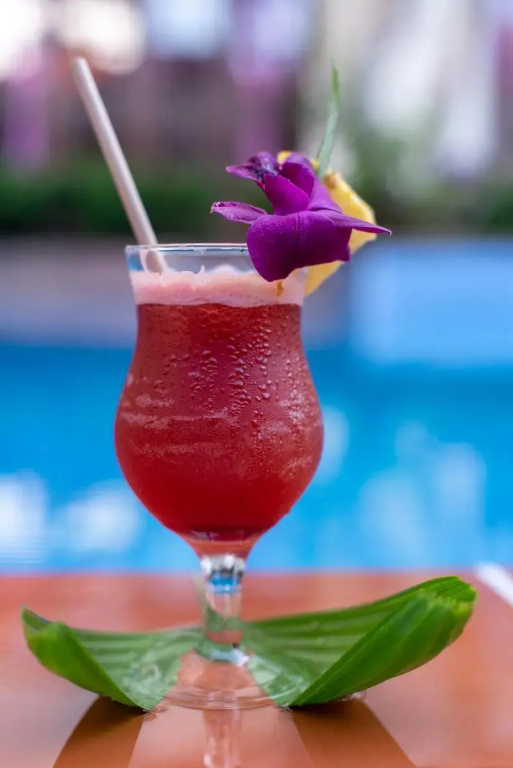 Steung Siemreap Hotel - Général