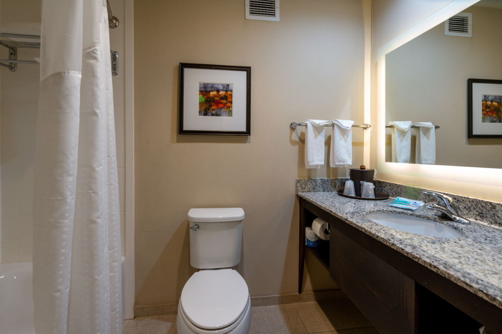 Holiday Inn Murfreesboro by IHG - Général