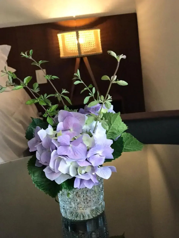 Hotel photo 45