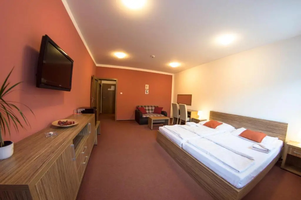Wellness Hotel Hukvaldy - Chambres