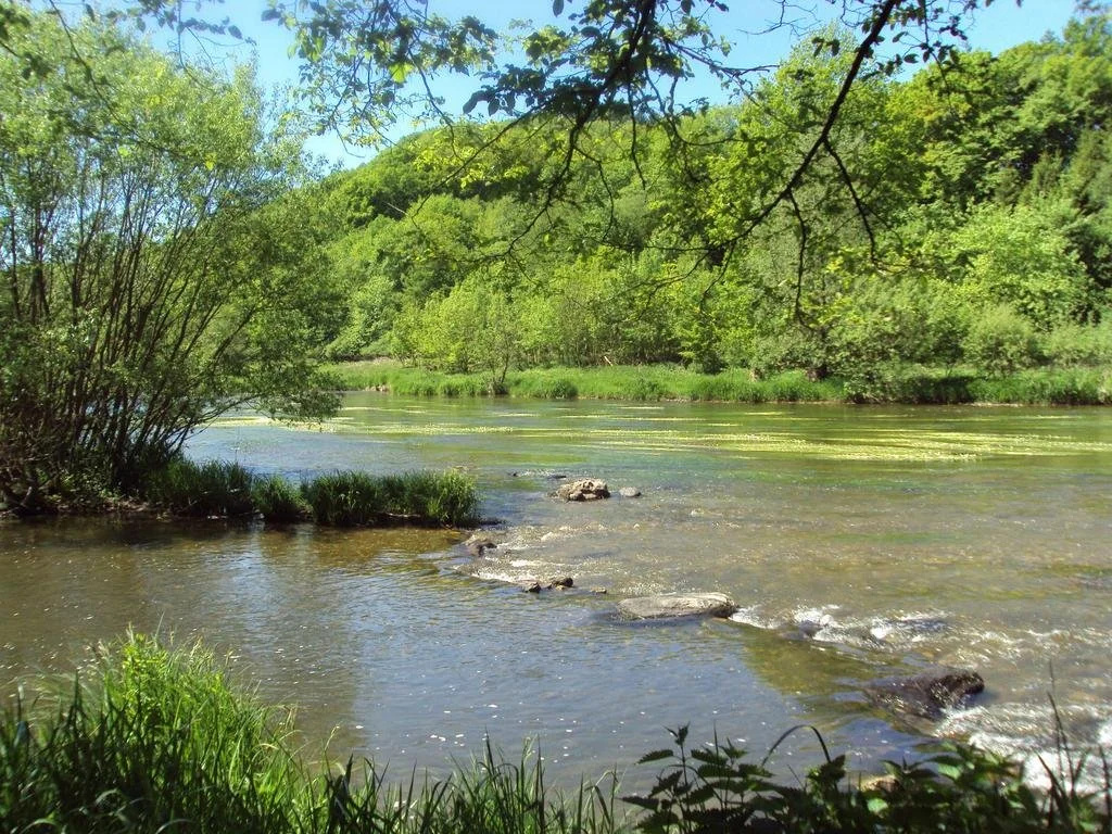Le vieux moulin Bohan - фото 10