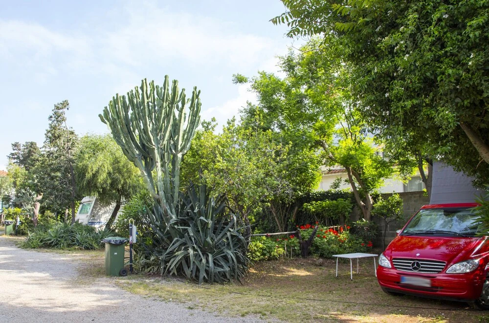 Camping Degli Ulivi