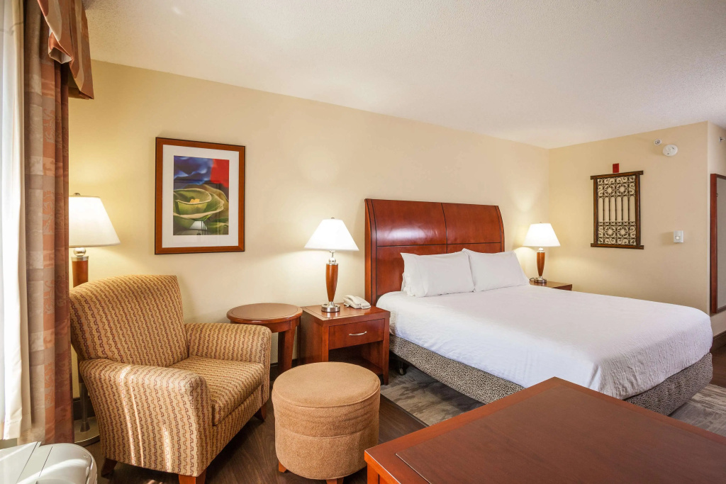 Hilton Garden Inn El Paso / University - Général