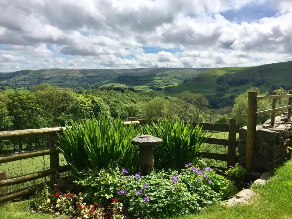Foel Fach