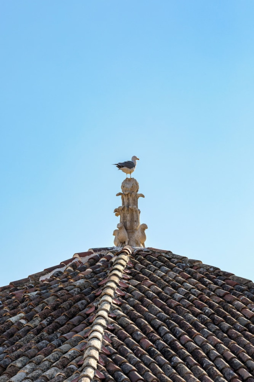 Hotel photo 48
