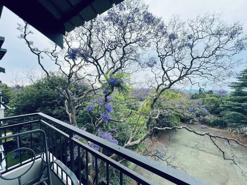 Calm & Connected Skyline Views Melrose Sandton