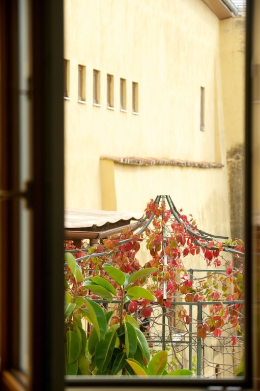 Ospiti al centro