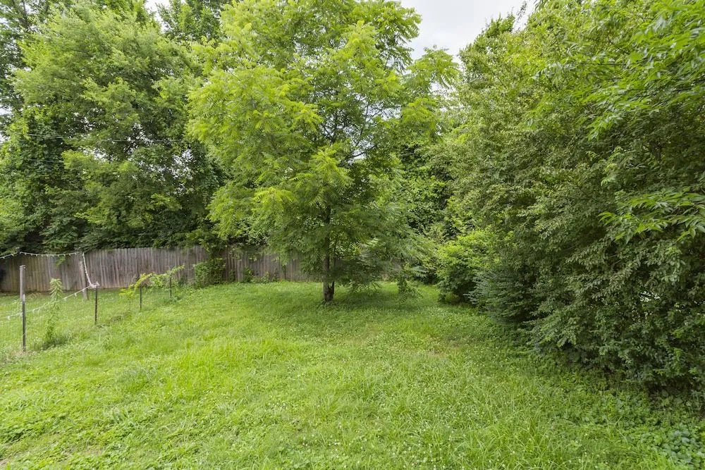 Take a Jog in Nearby Shelby Park at a Bright, Cozy Home