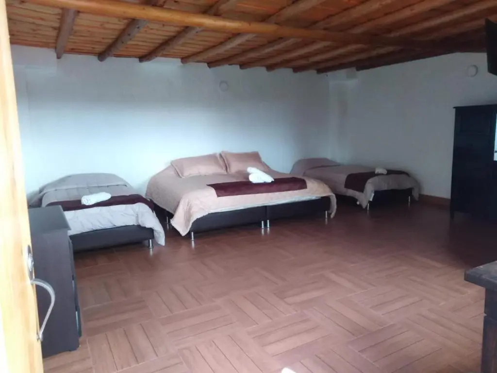 Standard Quadruple room with garden view