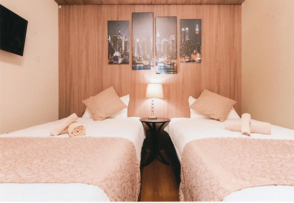 Deluxe Double room (twin beds)