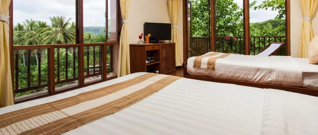 Deluxe Double room (twin beds)