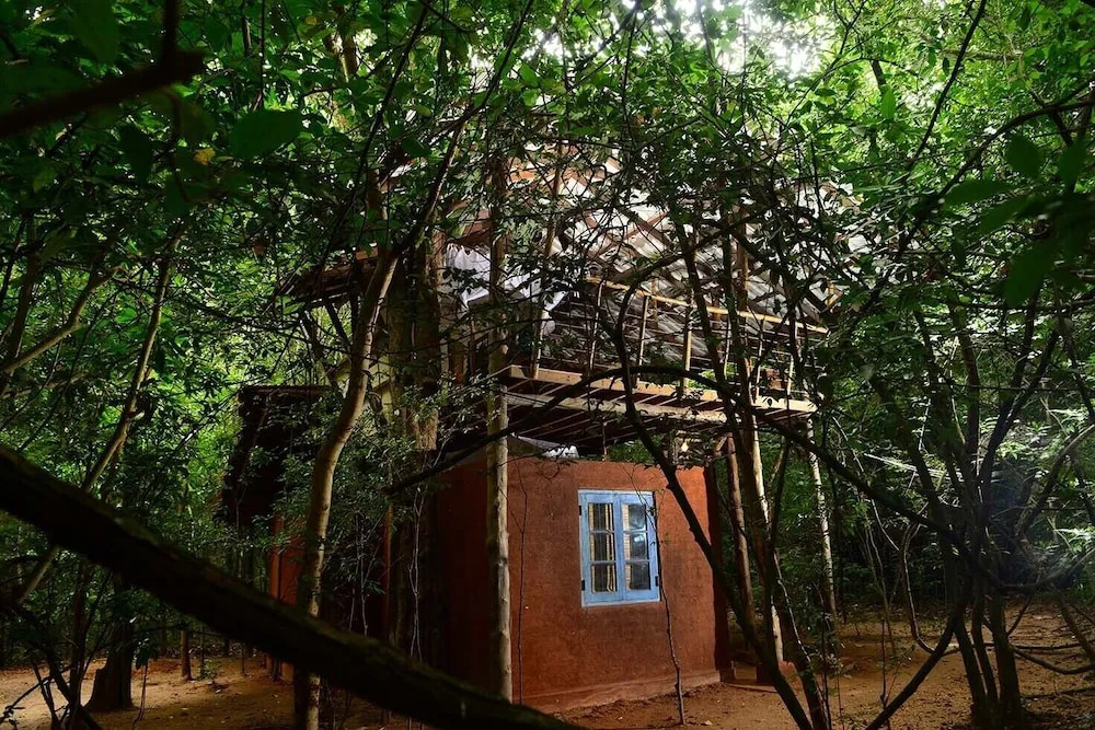 Back Of Beyond - Pidurangala