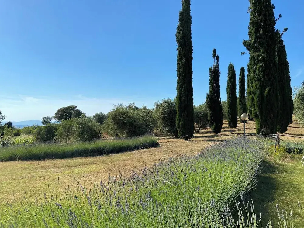 Tenuta Le Mandorlaie Agriturismo