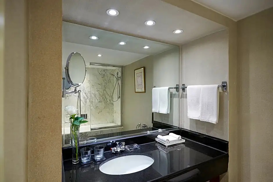 Classic Double room with city view (full double bed)