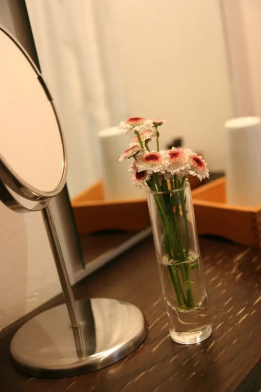 Standard Single room (single bed)