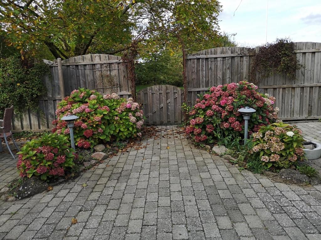 Safine B&B — 2