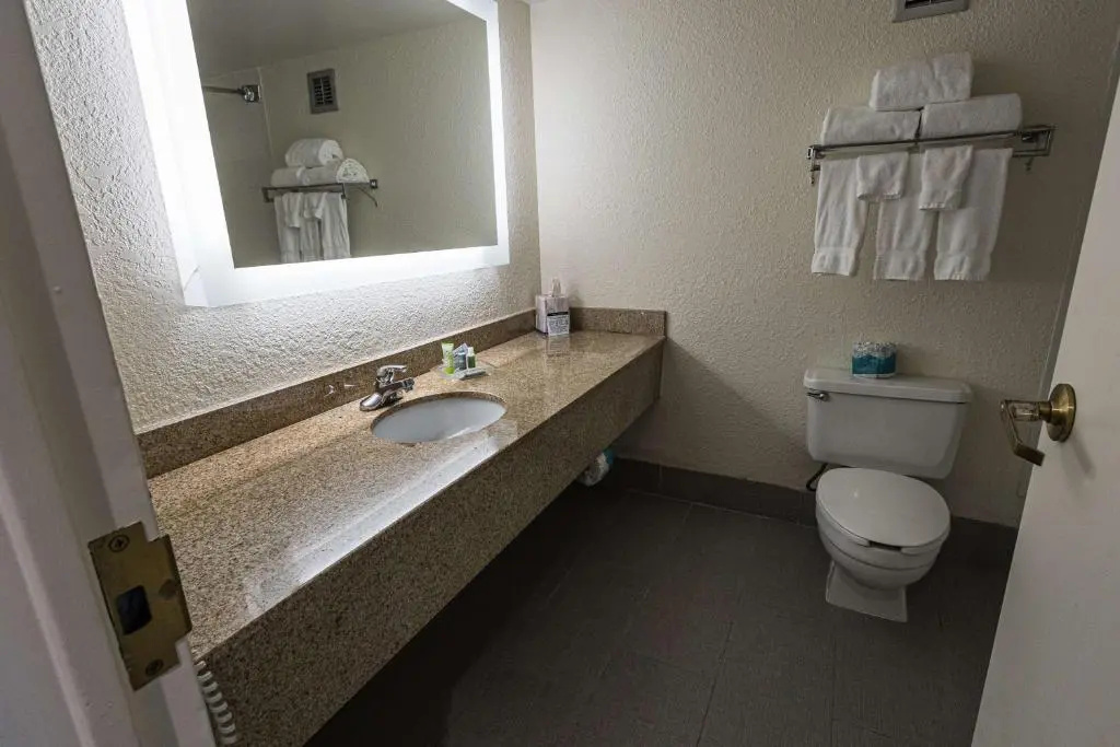 Wyndham Flint MI/Grand Blanc/Bishop Airport/Conference Ct - Chambres
