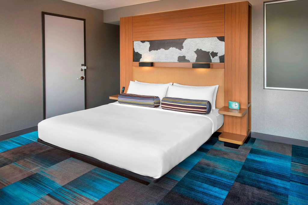 Aloft by Marriott Nashville Franklin - Général