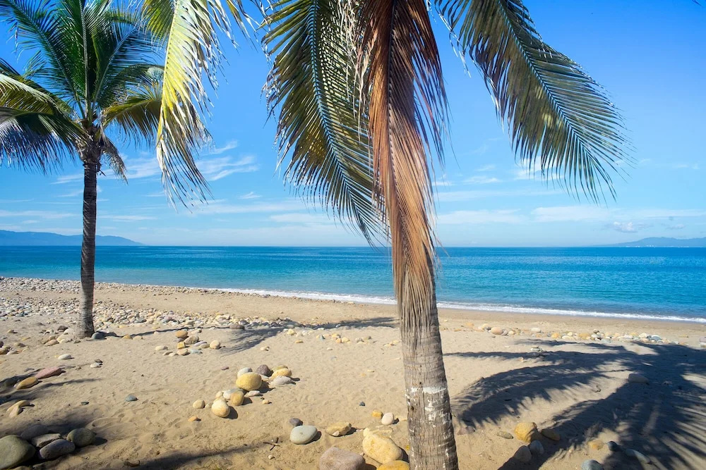 Beach & Waterfront