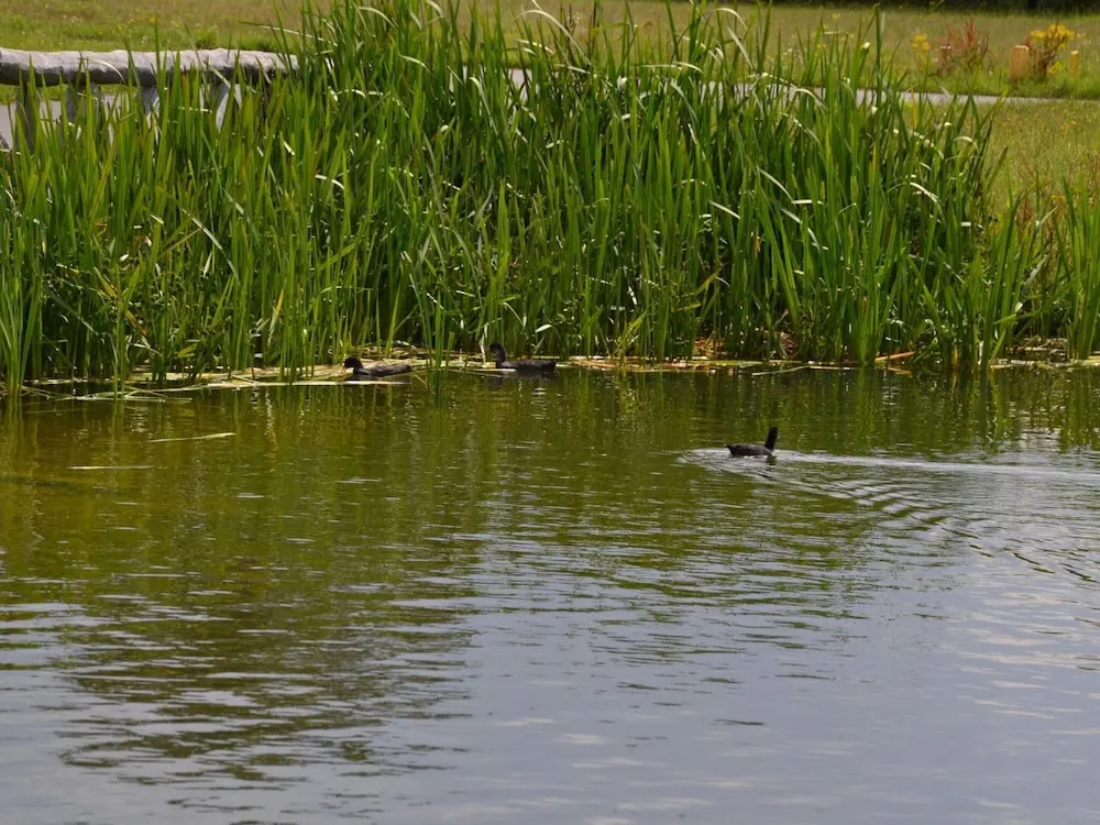 Veldenberg Nature Resort Stay