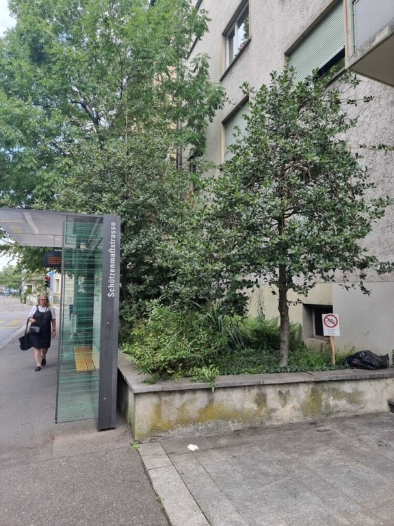 Full 3 Bedroom Flat With Internet and Balcony