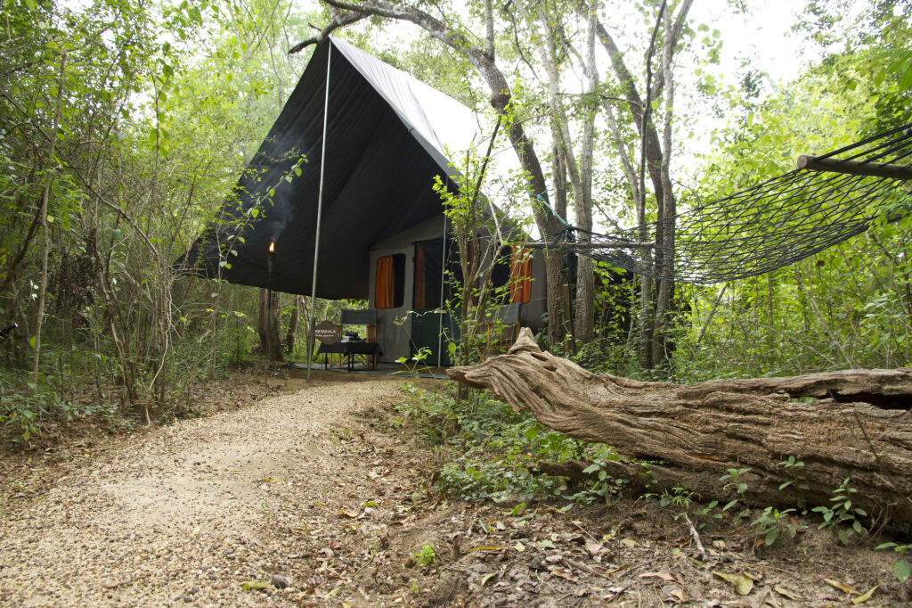 Mahoora Tented Safari Camp - Udawalawe