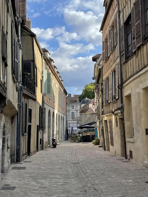 Appartement le Paul Bert Auxerre Les Quais 2 personnes