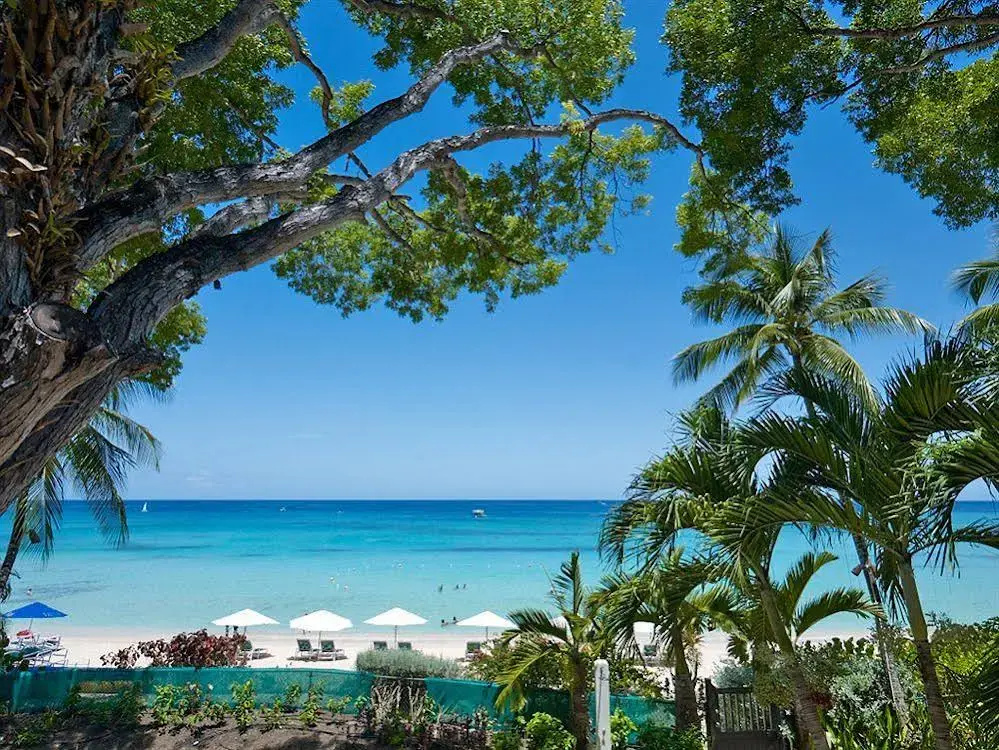 Coral Cove Beachfront Villas - Général