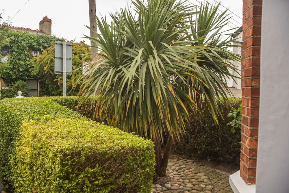 Rugby Lodge 3 Bedrooms Dublin