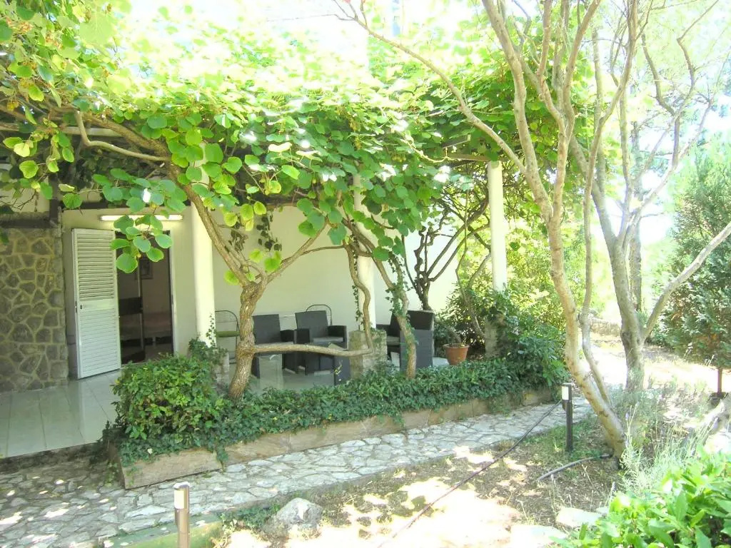 Studio