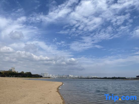 Beach & Waterfront