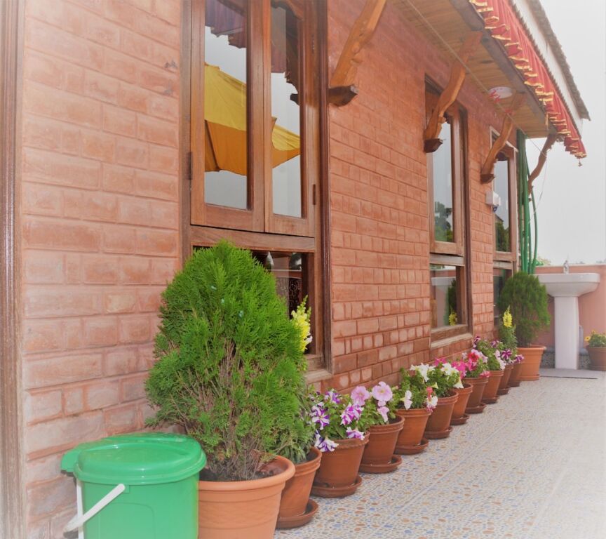 Image 8